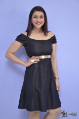 Mannara Chopra at Rogue Movie Success Meet